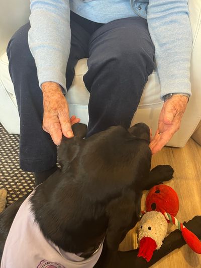 An older person patting Pluto, the practice therapy dog, during a session